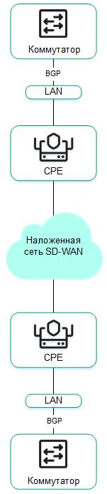 Схема, на которой два коммутатора подключены к устройствам CPE по протоколу BGP. Устройства CPE в свою очередь подключены через overlay-сеть SD-WAN.